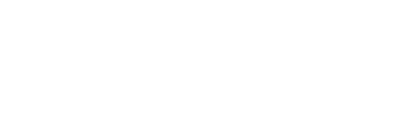 AV. Consultancy Services